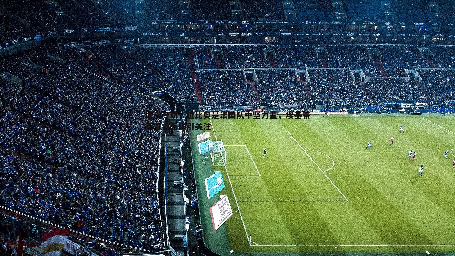 德尚专访，拉比奥是法国队中坚力量，埃基蒂克潜力无限引关注