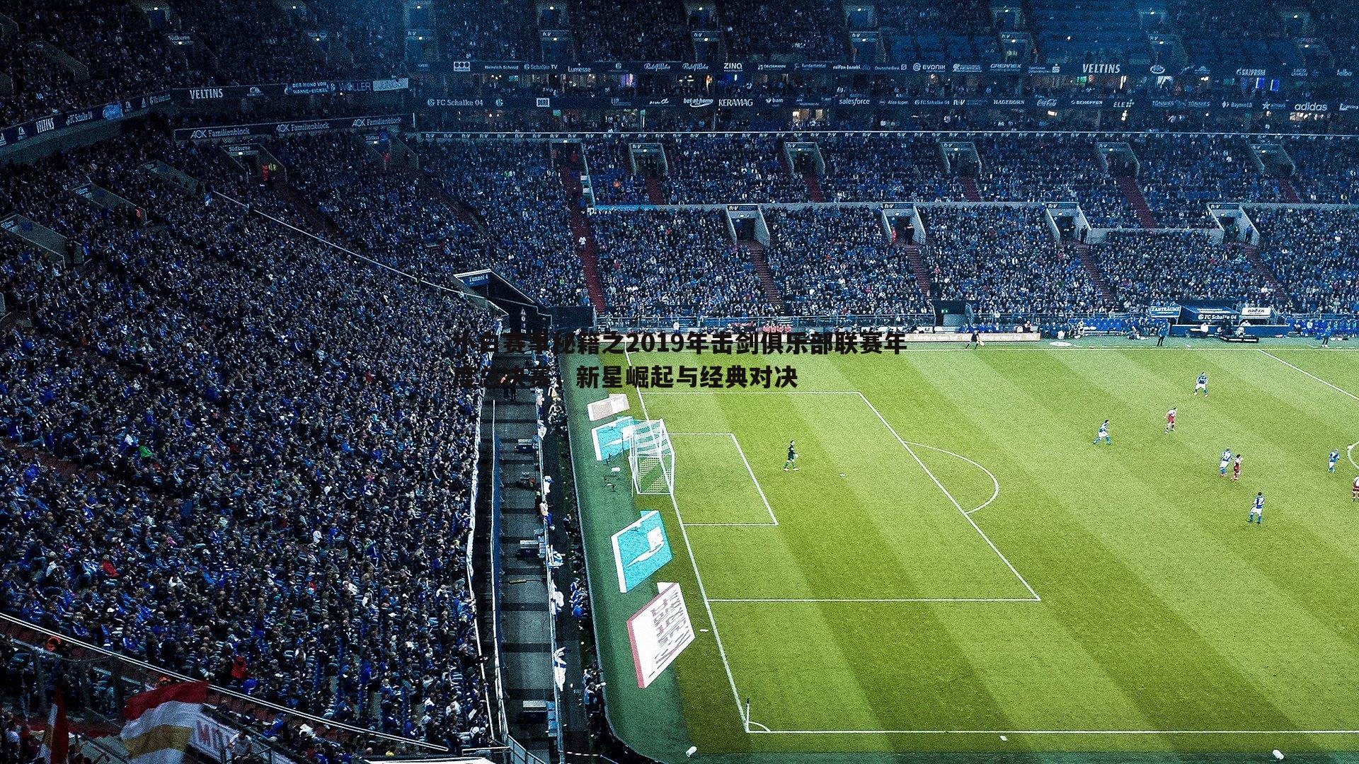 小白赛事秘籍之2019年击剑俱乐部联赛年度总决赛,新星崛起与经典对决